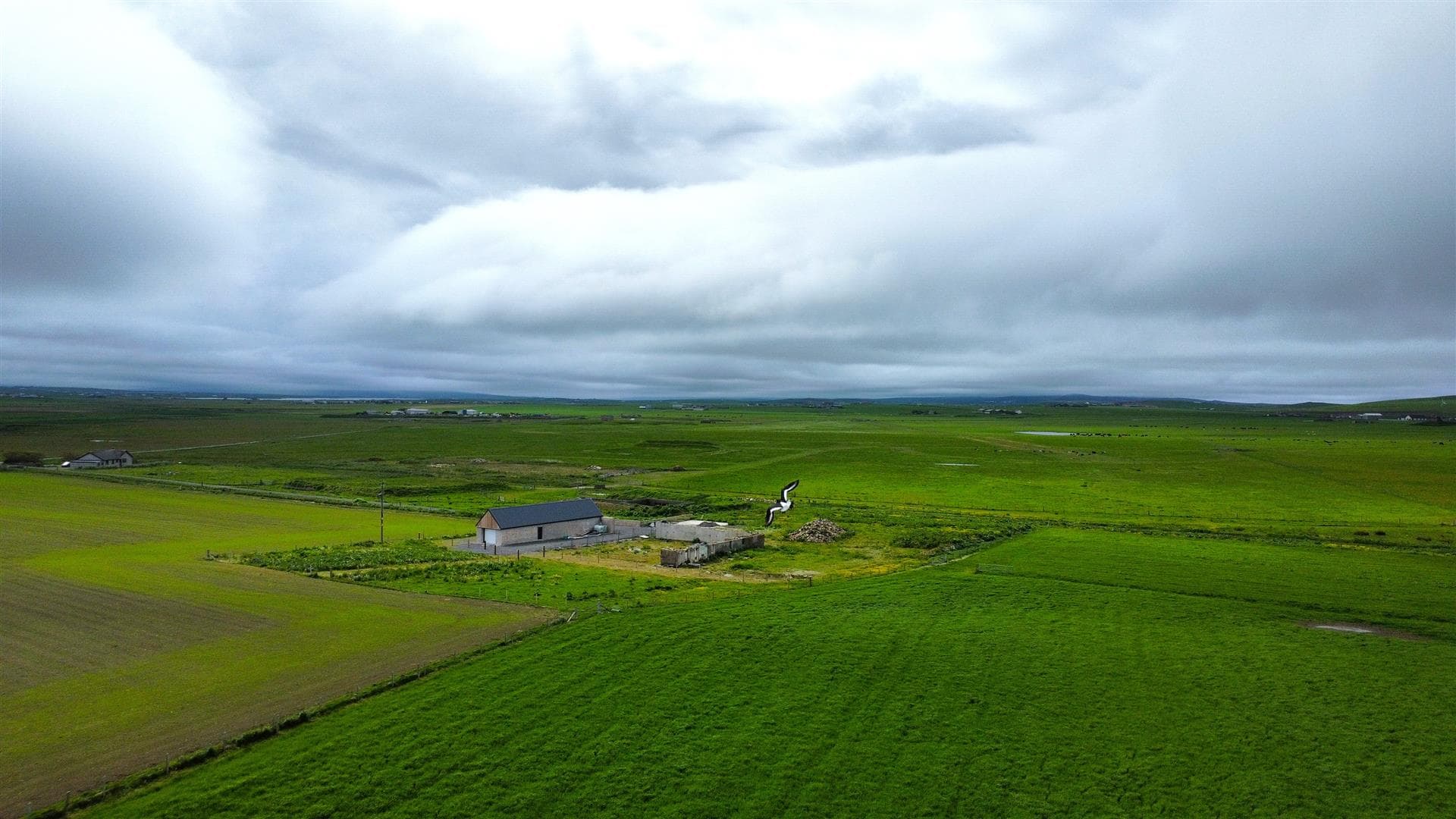 Downatown, Twatt, Birsay, Orkney, KW17 2JH